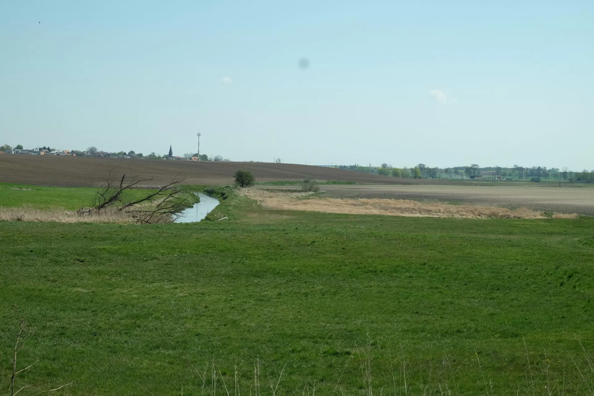 Dzierżawa ziemi z KOWR na nowych zasadach. Co się zmieni w przetargach?