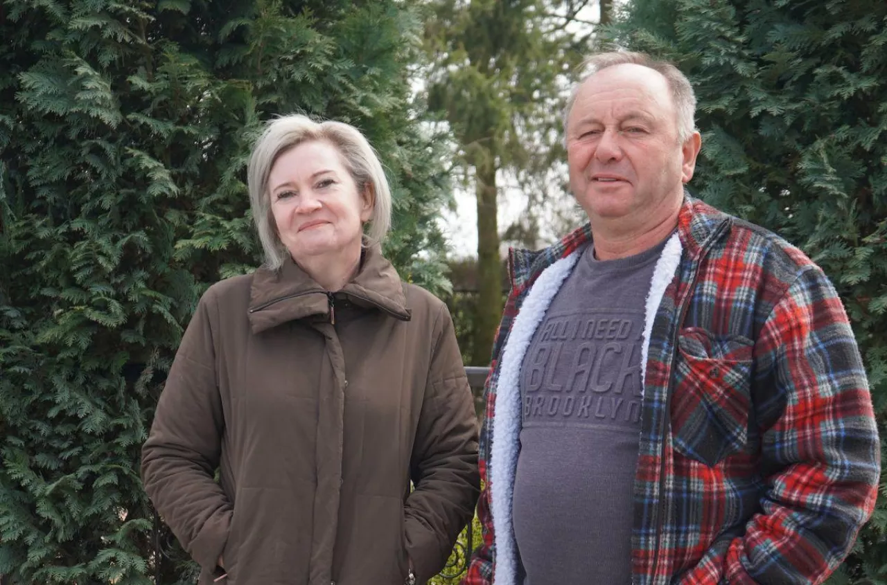 Rolnicy z Mazowsza doją krowy choćby 6 laktacji. "To korzystne"