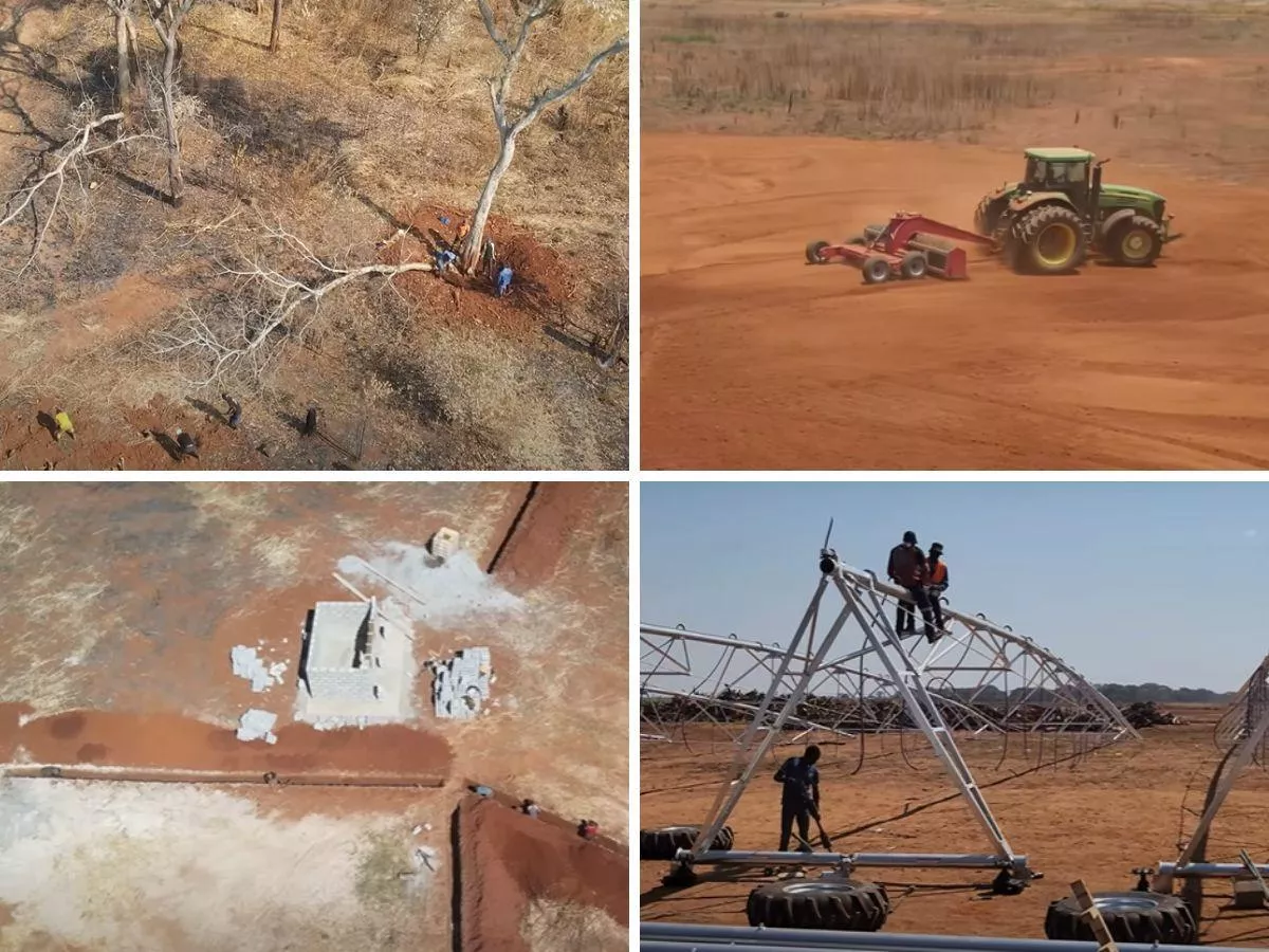 Polscy rolnicy prowadzą gospodarstwo w Zambii. Jak nawadniają 100 ha?