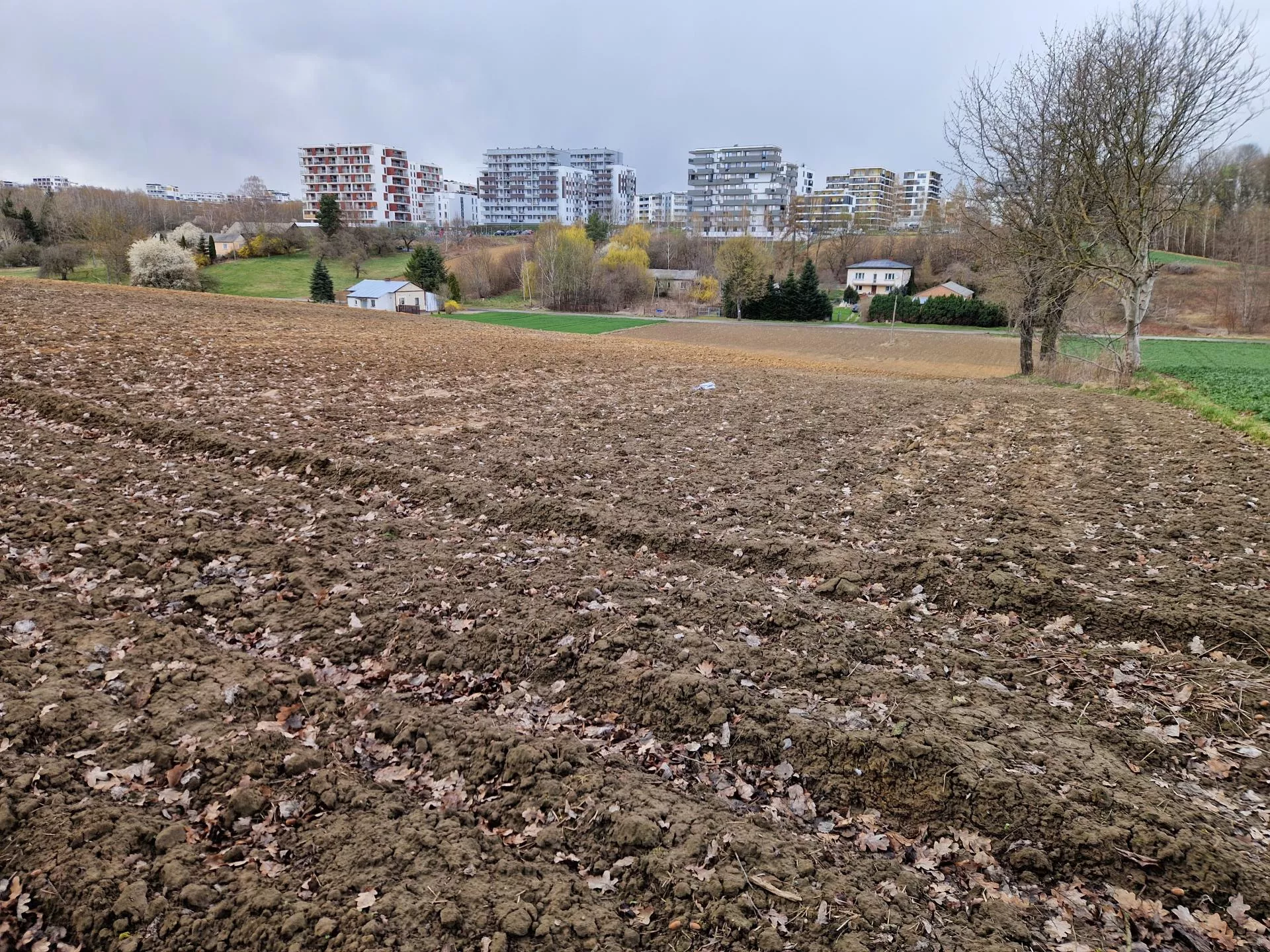 Rolnikowi koło pola wyrosło osiedle. Miasto wchodzi do wsi [ZDJĘCIE TYGODNIA]