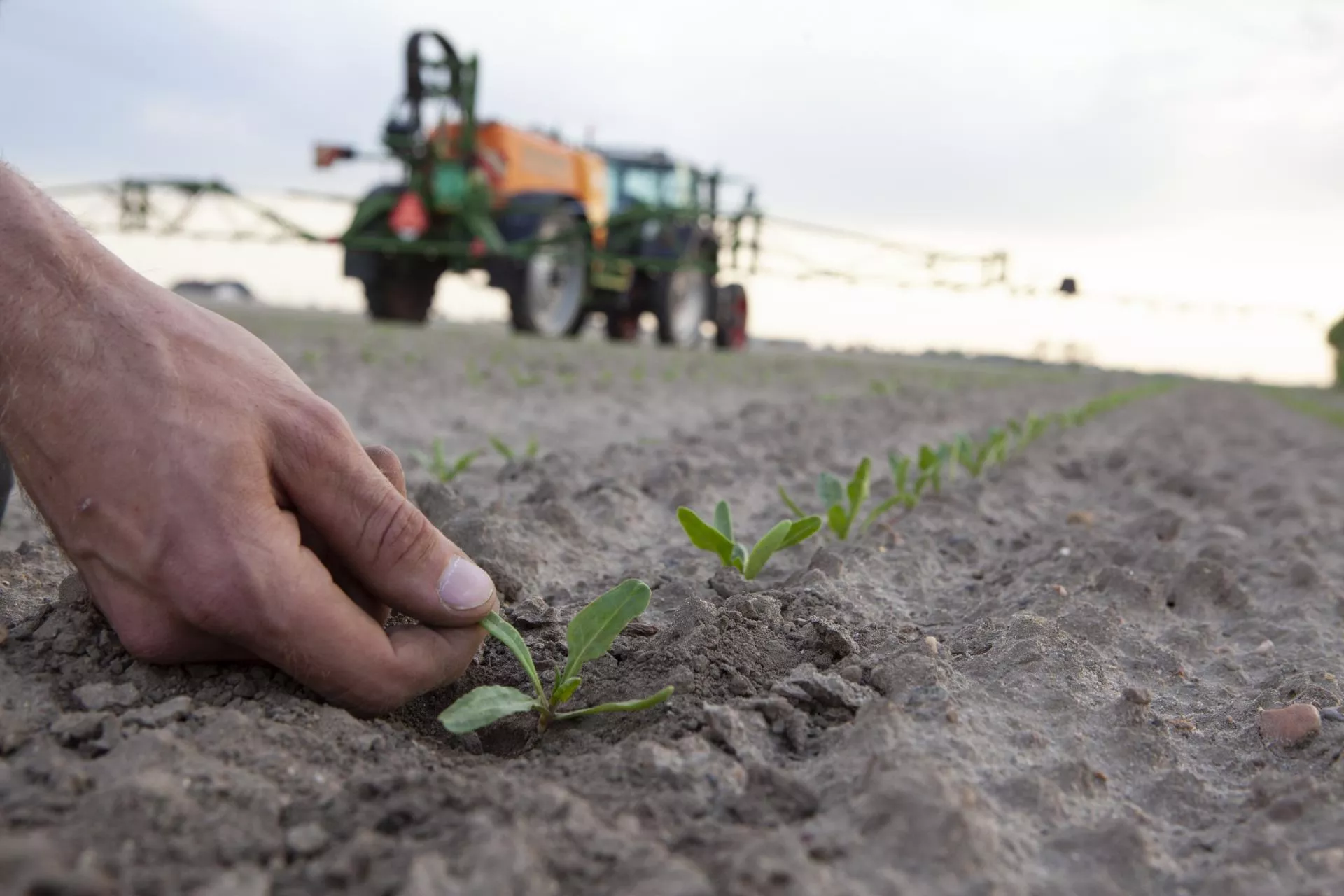 Rolnicy będą musieli szczegółowo się spowiadać. Bruksela szykuje nowy obowiązek