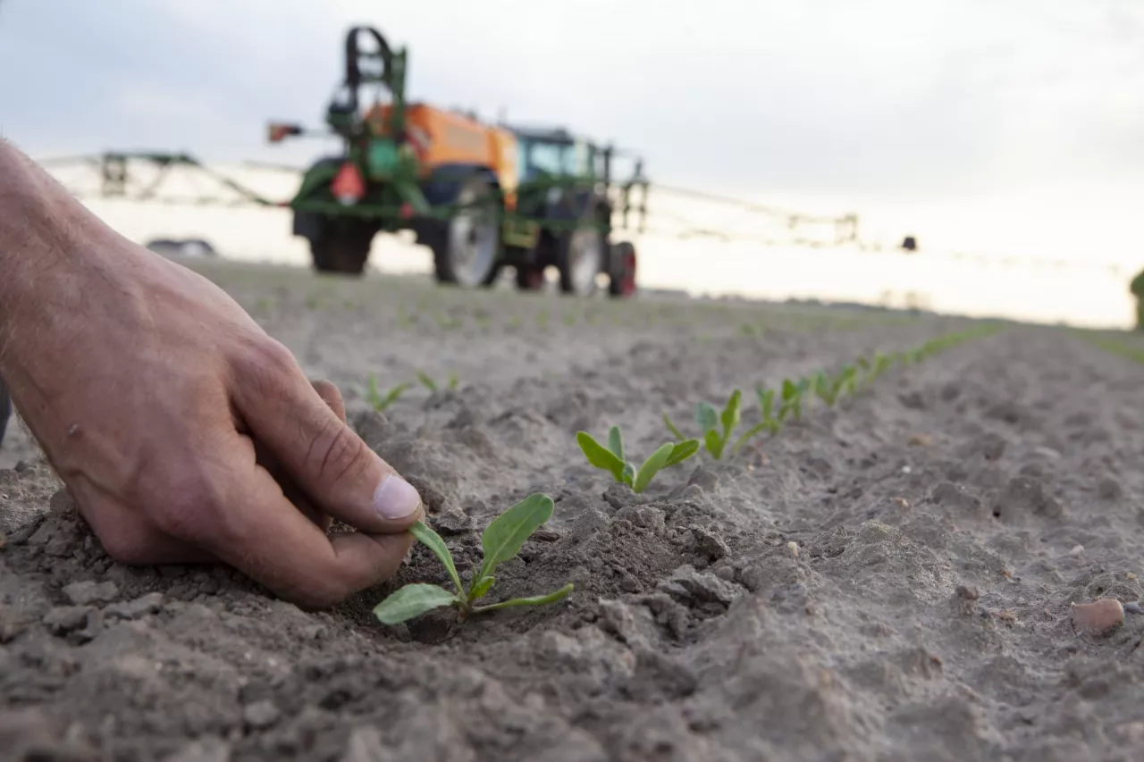 Rolnicy będą musieli szczegółowo się spowiadać. Bruksela szykuje nowy obowiązek