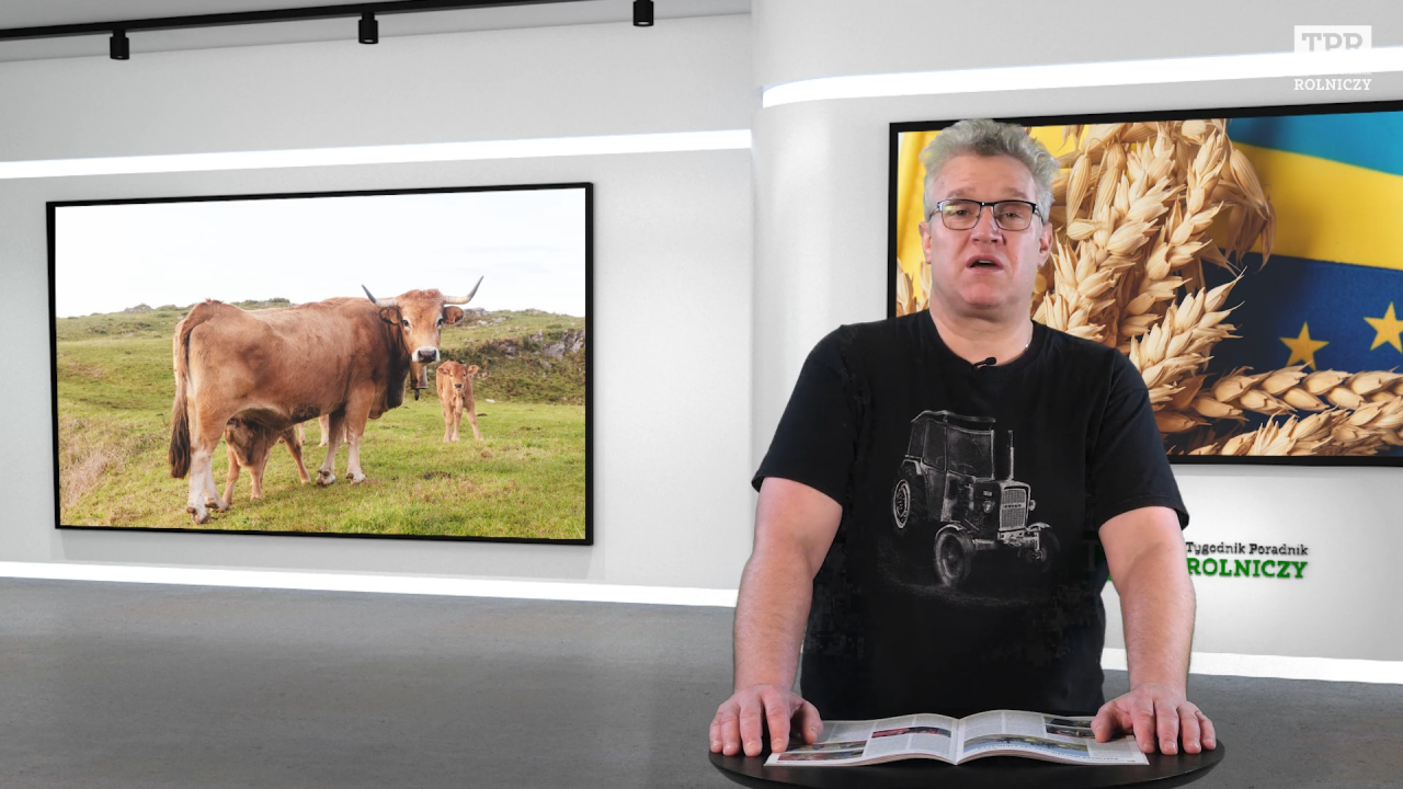 Redaktor naczelny Tygodnika Poradnika Rolniczego komentuje najnowsze rolnicze informacje