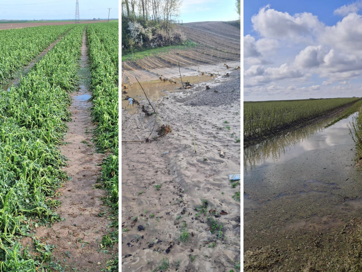 Rolnicy mogą składać wnioski o szacowanie strat. "Nikt nie zostanie bez pomocy"