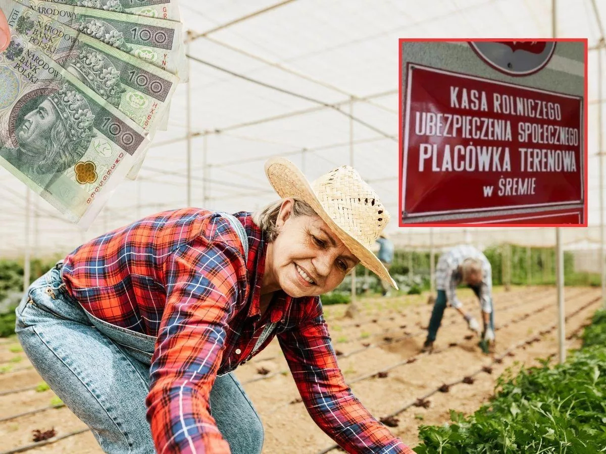 Jak rolnik może przejść na wcześniejszą emeryturę z KRUS?