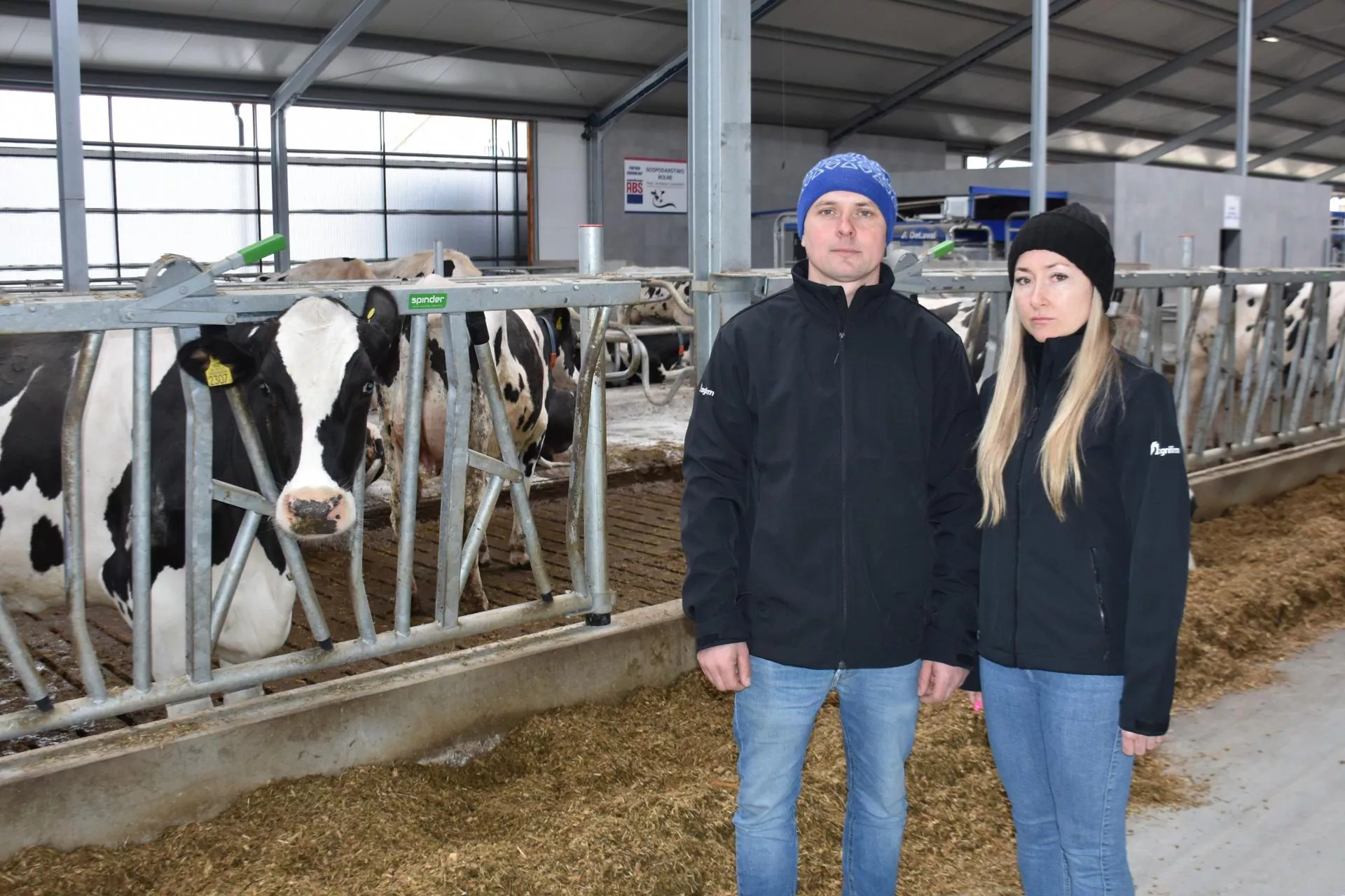 Rolnik z Mazowsza zwiększył wydajność krów, bo... postawił nową oborę