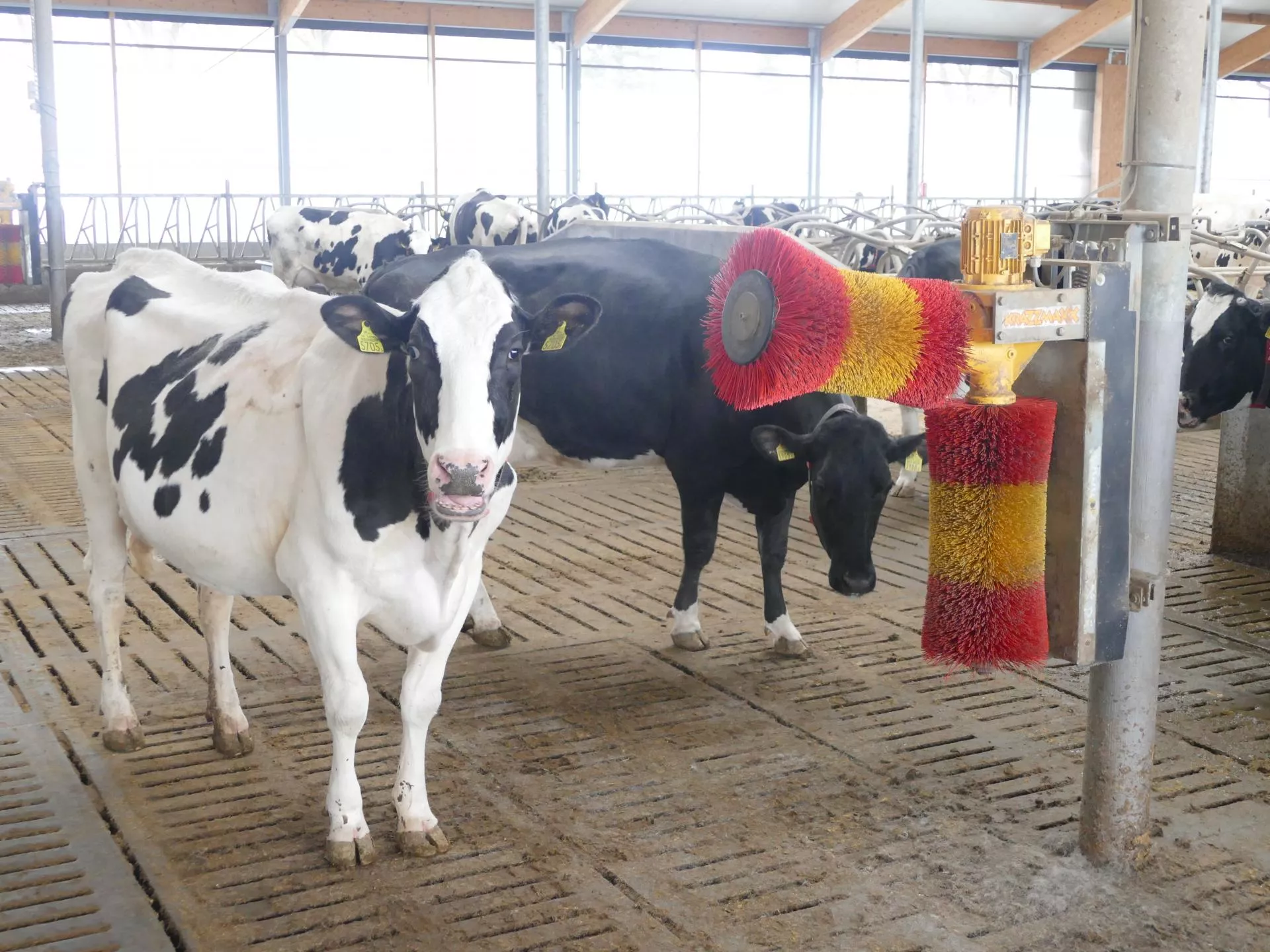 Rusza nowy program ARiMR dla rolników. Na co można przeznaczyć 150 tys. zł dotacji?