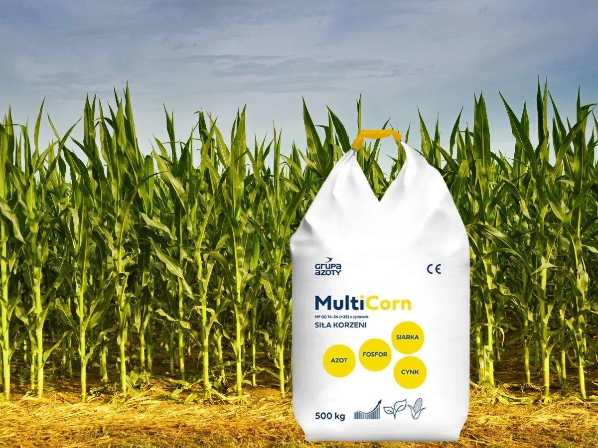 Grupa Azoty wprowadza nowy nawóz do kukurydzy. Jaki?
