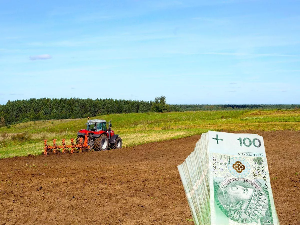 Dopłaty bezpośrednie 2025: rolnicy domagają się dodatkowych dwóch tygodni