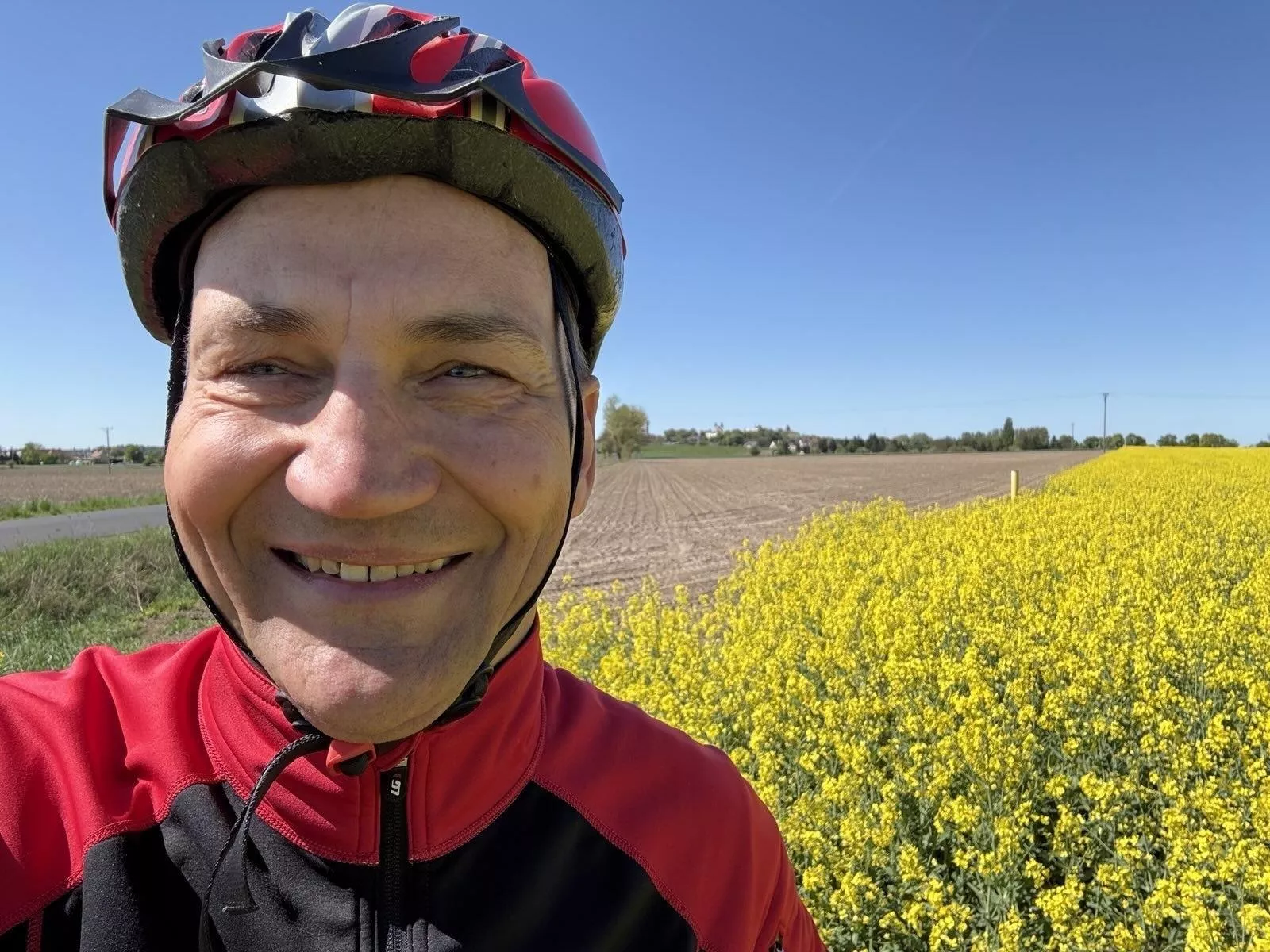 Minister Sikorski uradowany w rzepaku. Uległ modzie na "rzepiary"