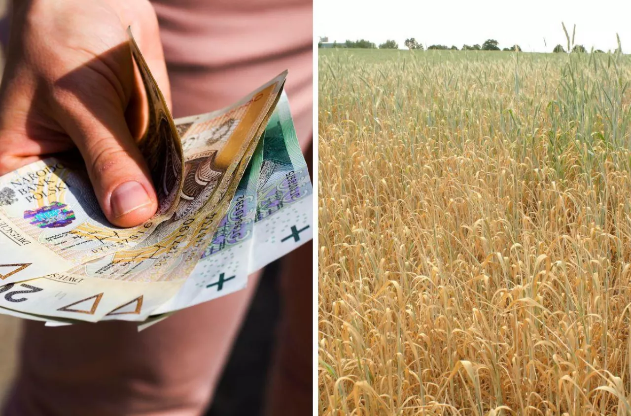 Pomoc suszowa i pomoc dla rodzin: czy będzie współczynnik korygujący?