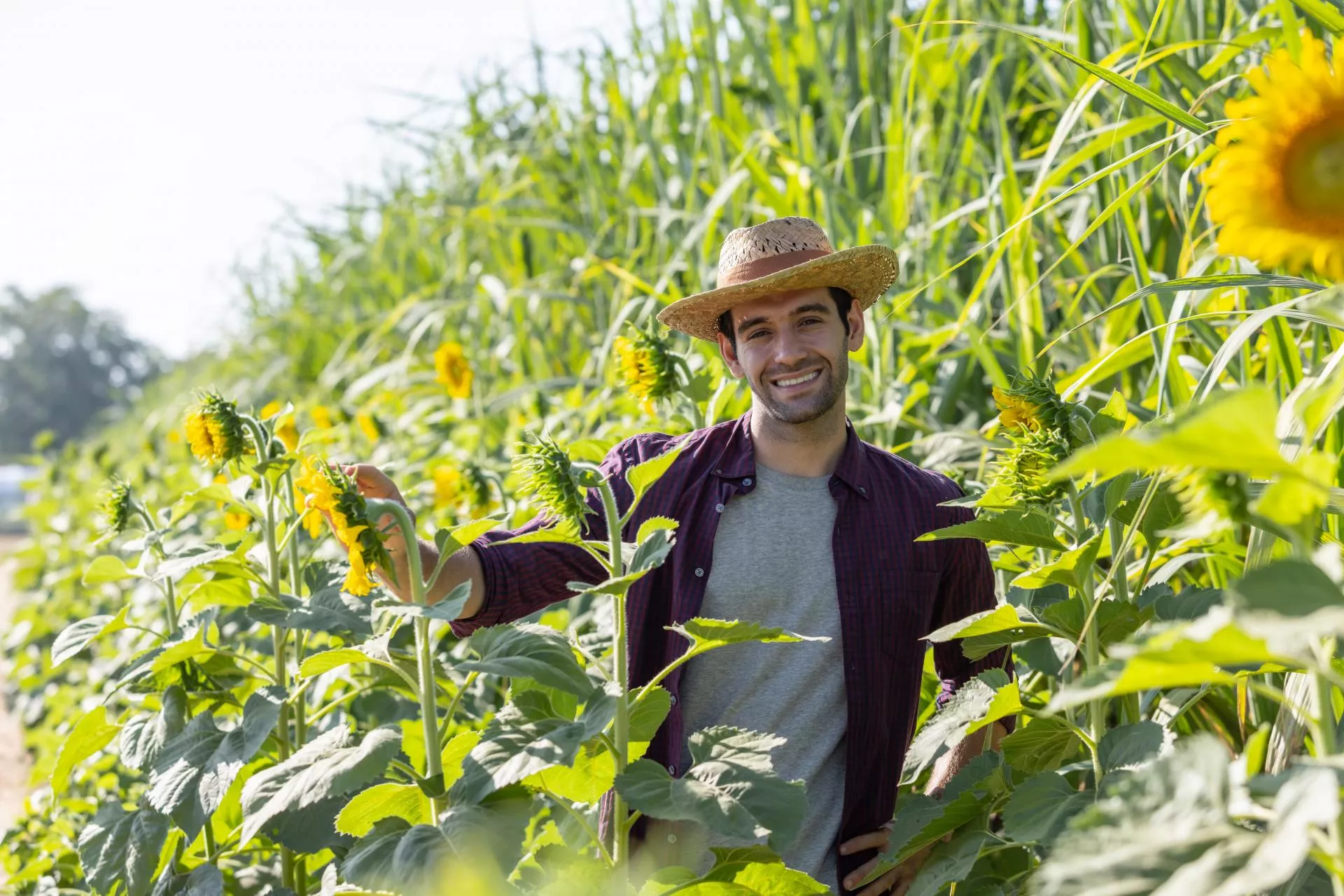 Premia dla młodego rolnika 2025: ile trzeba mieć ziemi?