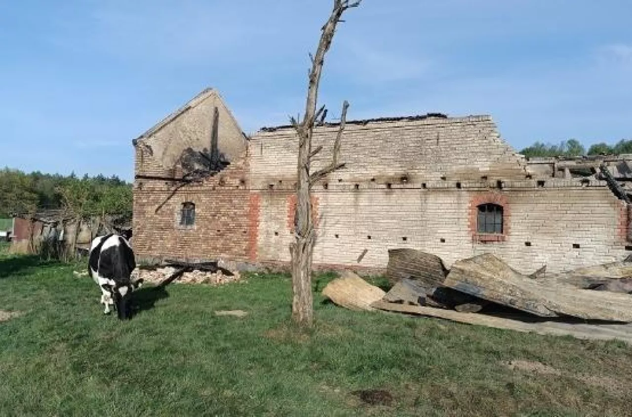 Piorun uderzył w oborę. Straty sięgają 250 tys. zł