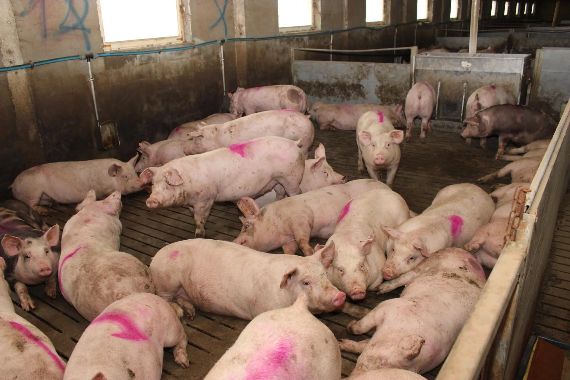 Pożyczki widmo dla rolników. Nabór w ARiMR trwa, ale pieniędzy brak