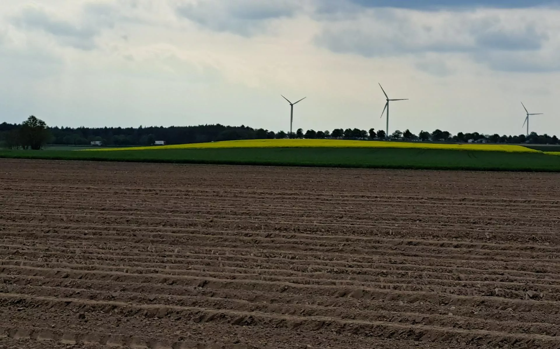 Rolnicy mają coraz mniej czasu, aby nie stracić prawa do dopłat bezpośrednich
