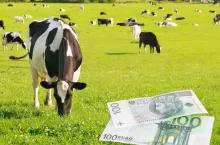Ile zarabia rolnik w Polsce, a ile w Niemczech?