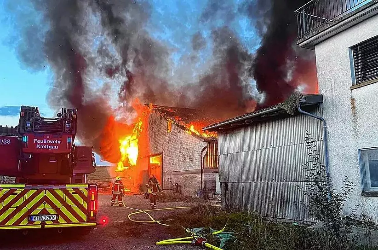 Tragiczny pożar obory. Spłonęło 100 cieląt
