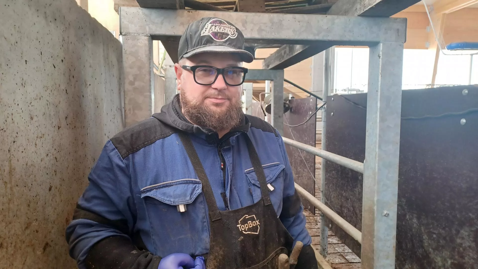 Automatyczna wanna do kąpieli racic. Jak się sprawdza u rolników z Pomorza? [WIDEO]