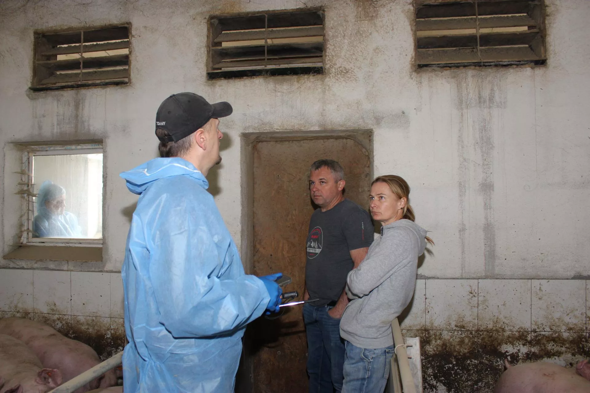 Rolnicy z Mazowsza zrobili audyt wentylacyjny w chlewni. Jakie wyniki?