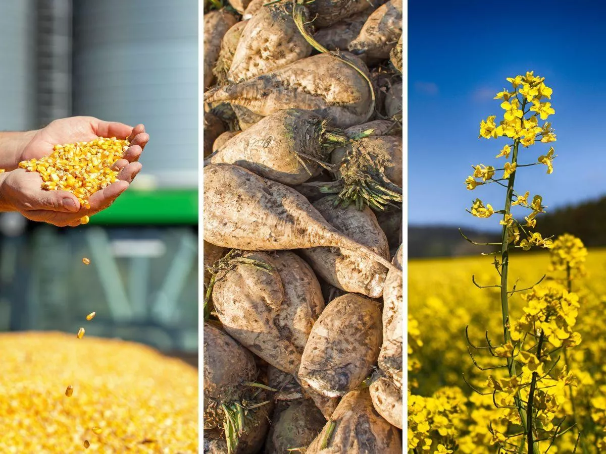 Rolnicy dostaną 100 proc. rekompensaty. Jest decyzja na 2025 rok