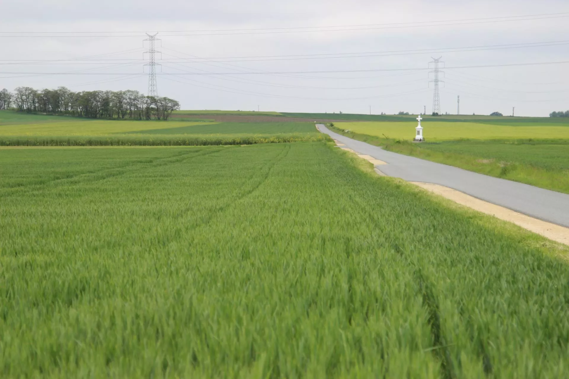 Rolnik może poddzierżawić ziemię z KOWR. Jak uzyskać zgodę?