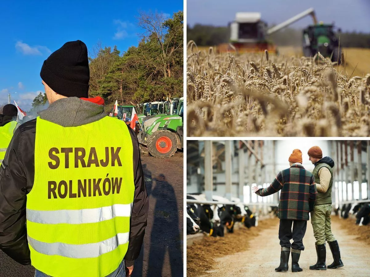 Rolnicy największymi wygranymi w rankingu zawodów. Awans o 10 miejsc