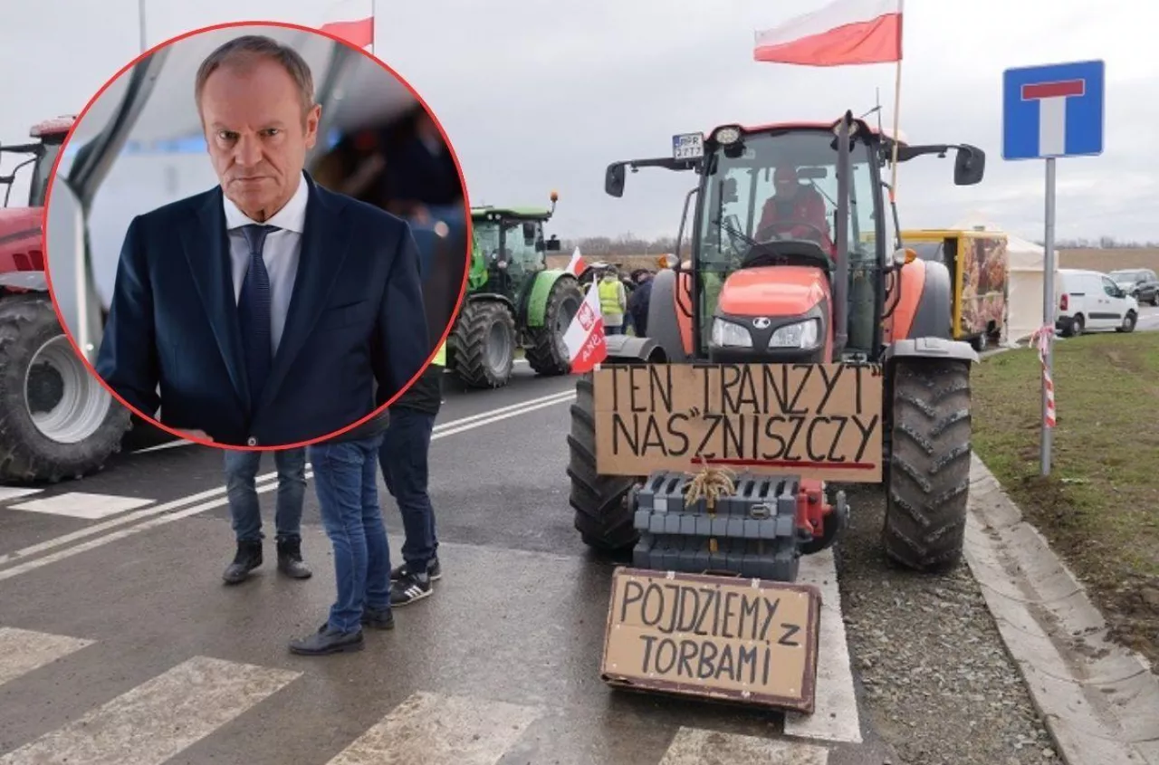 Spór o zboże wraca. Premier Tusk stawia sprawę jasno: nie popuszczę