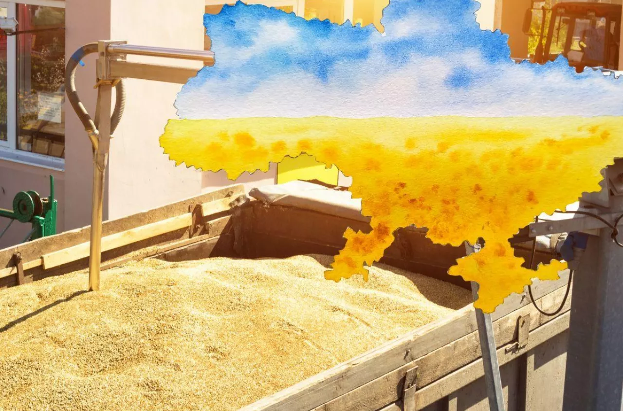 Rolnik nie wytrzymał. Napisał list do szefowej KE. "Od 3 lat dokładam do zbóż"