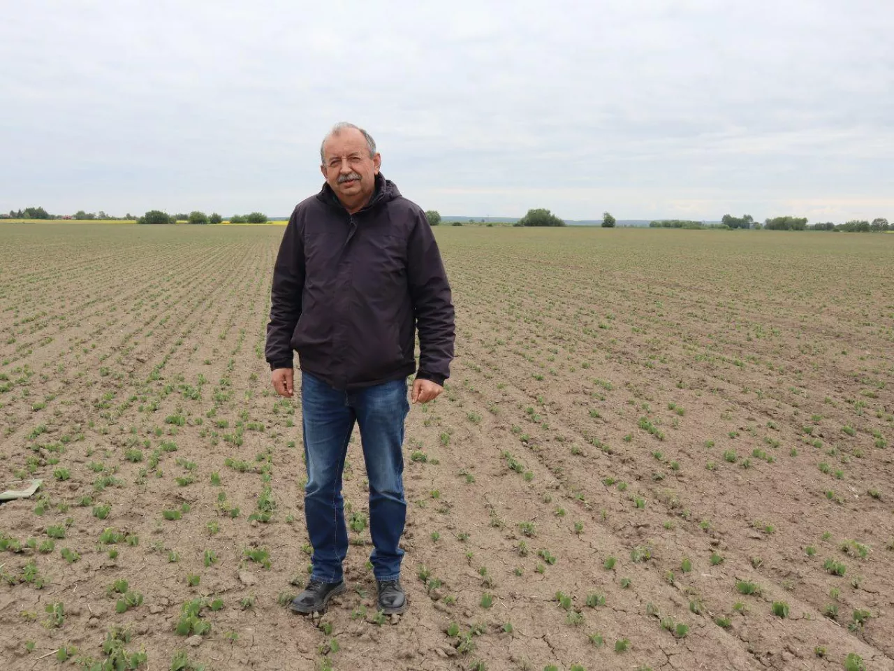 Rolnik z Podkarpacia uprawia 50 ha soi. ”Koszt uprawy niższy o 3000 zł/ha”