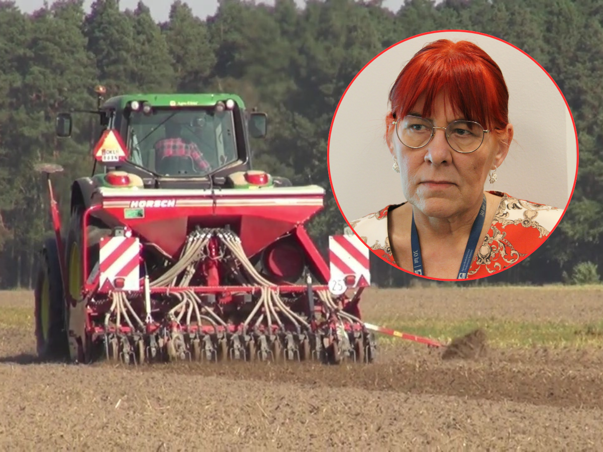 Dopłaty bezpośrednie 2025: im szybciej wniosek, tym wcześniej zaliczka