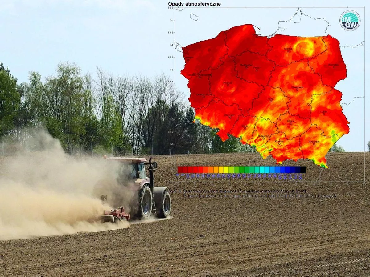 Rzepak zaorany, zboże wysycha. Susza najgorsza od 10 lat, rolnicy żądają pomocy