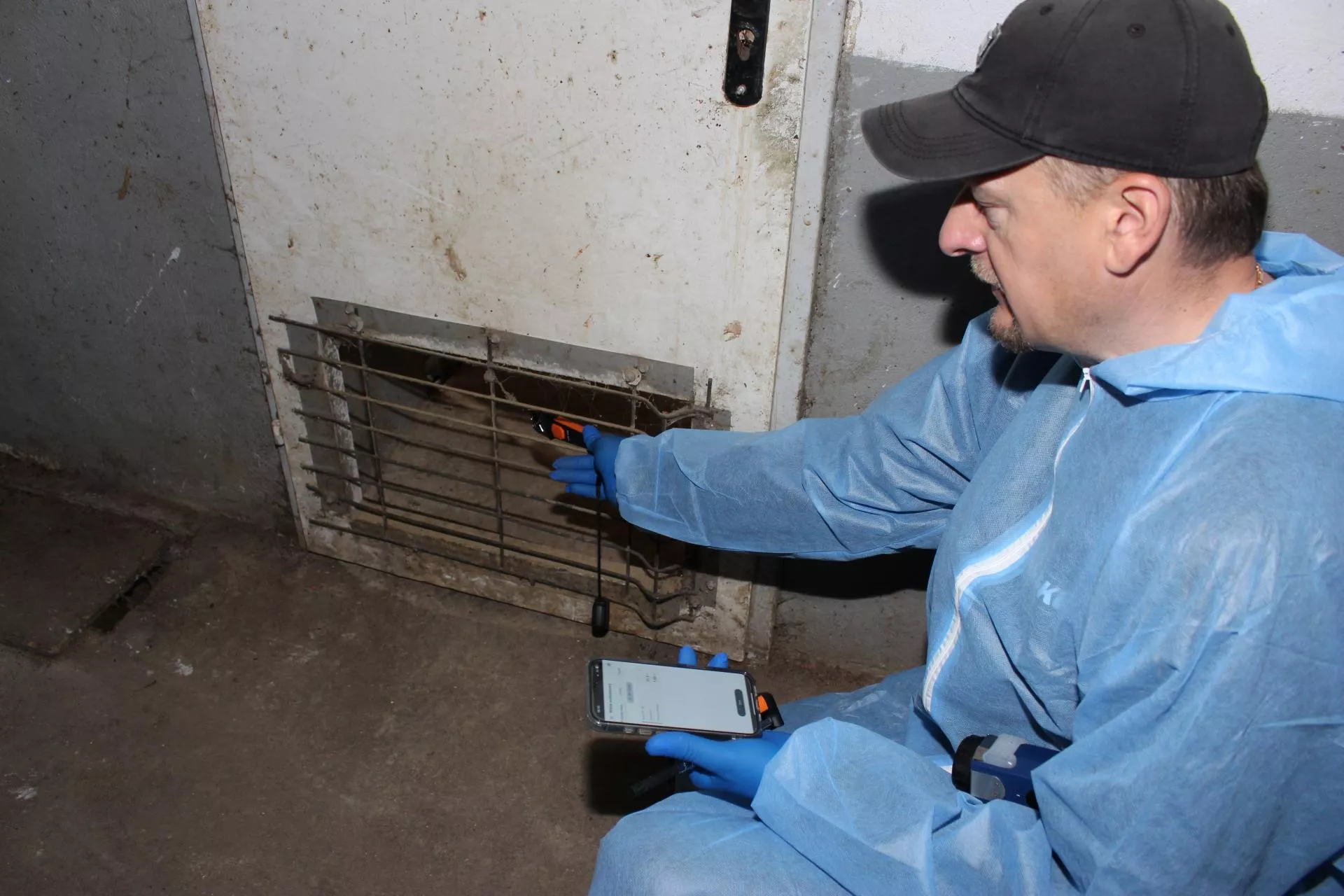 Wentylacja w chlewni: na co zwrócić uwagę? [PORADY EKSPERTA]