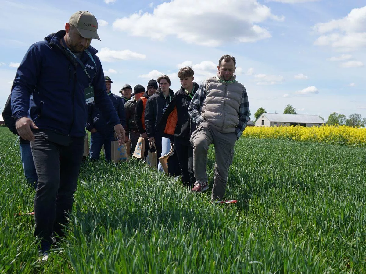 Rzepak i pszenica w 3 technologiach uprawy. Jakie wnioski z doświadczenia?