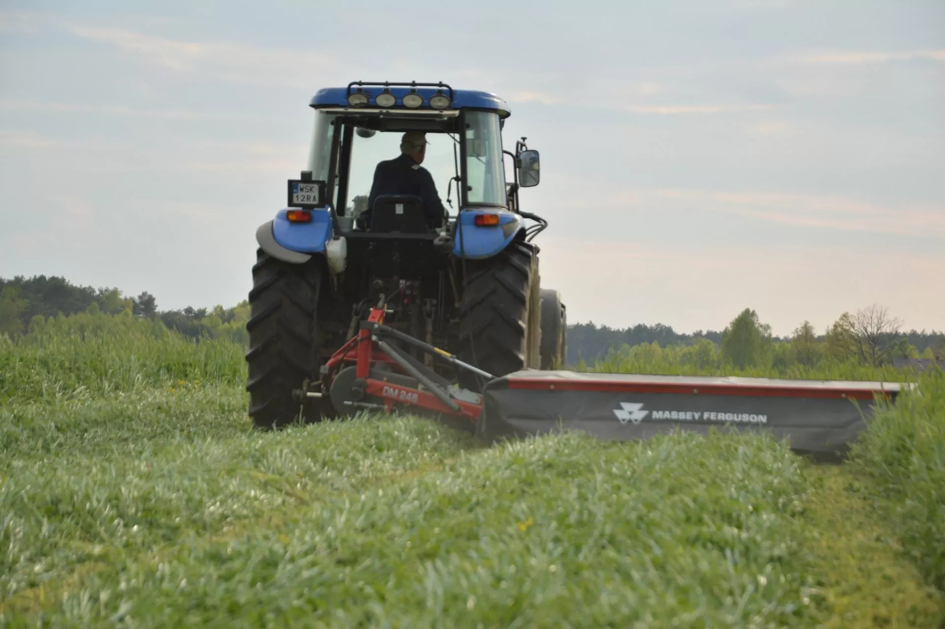 Pokos traw 2025: jakie są ceny zielonek? Ile kosztuje trawa na pniu?