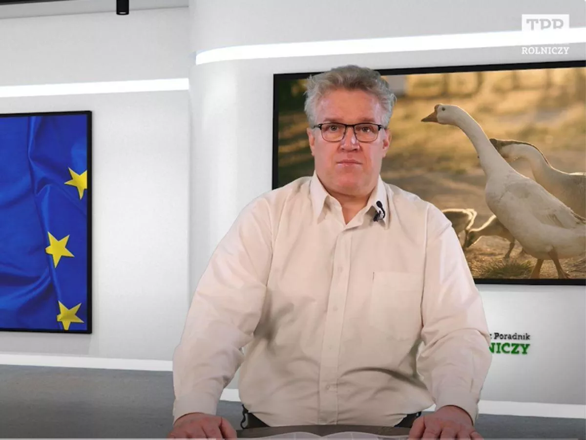 Rolnicy zaoszczędzą 40 zł na hektarze. Tak Bruksela łagodzi wymogi