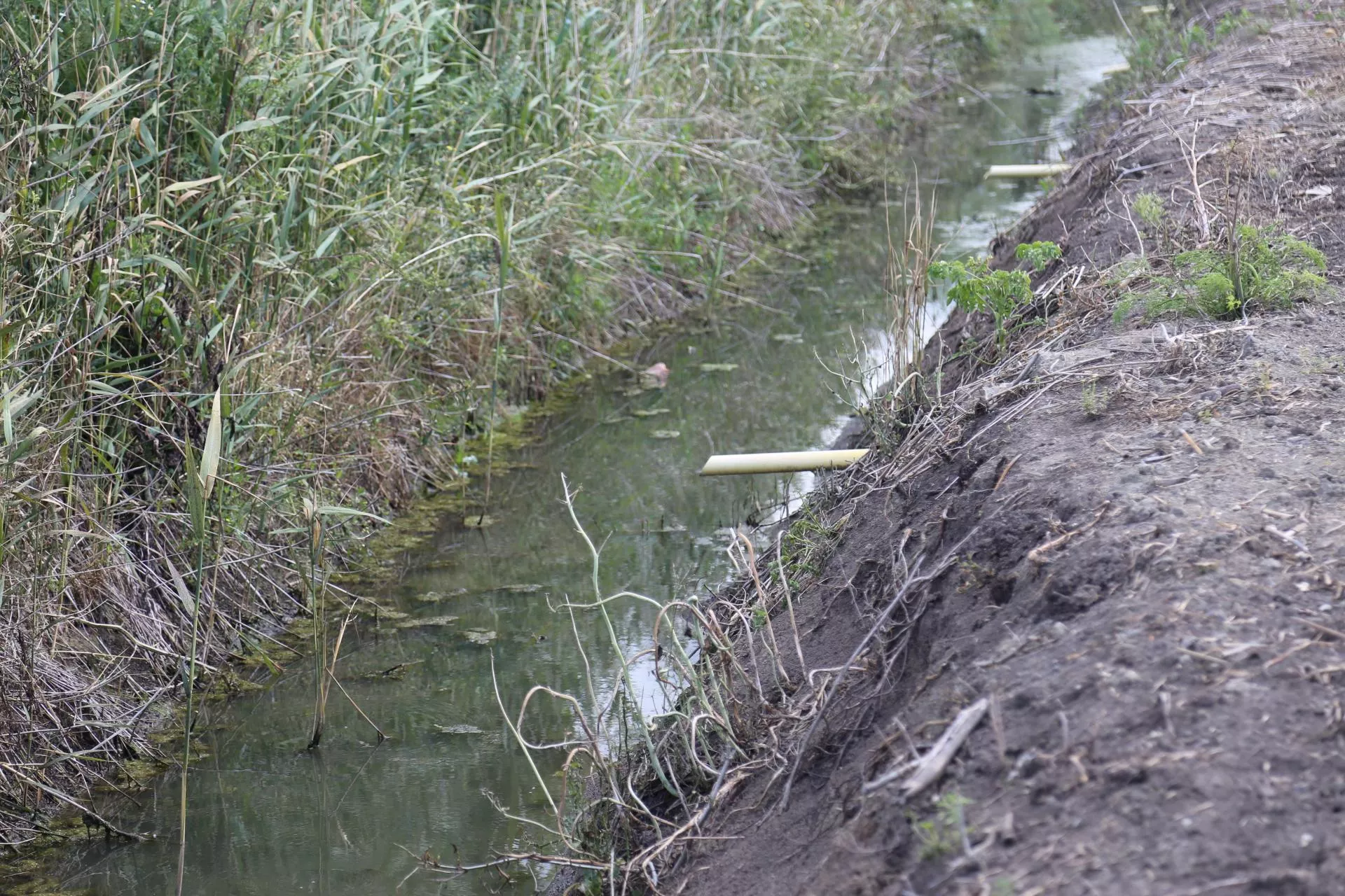 Czy rolnik musi sprzątać rowy przy swoim polu?