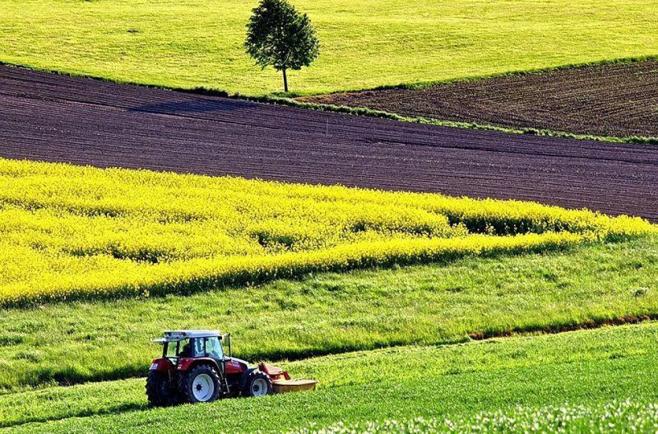Jak długo można mieć ugór i przez cały czas dostawać dopłaty? ARiMR rozwiewa wątpliwości