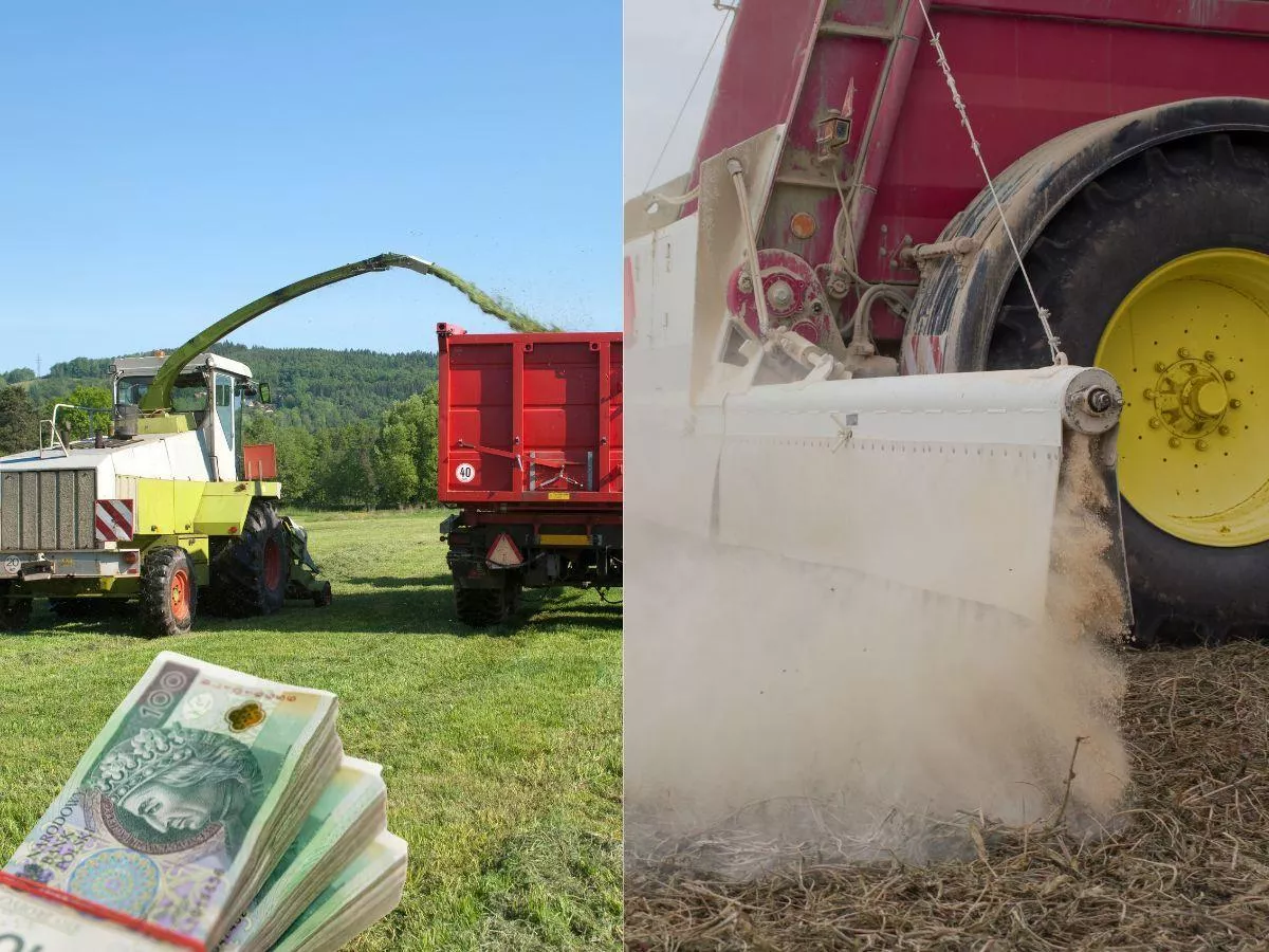 Ceny usług rolniczych: ile kosztuje podsiew i zbiór traw? Ile za pakowanie pasz w rękawy?