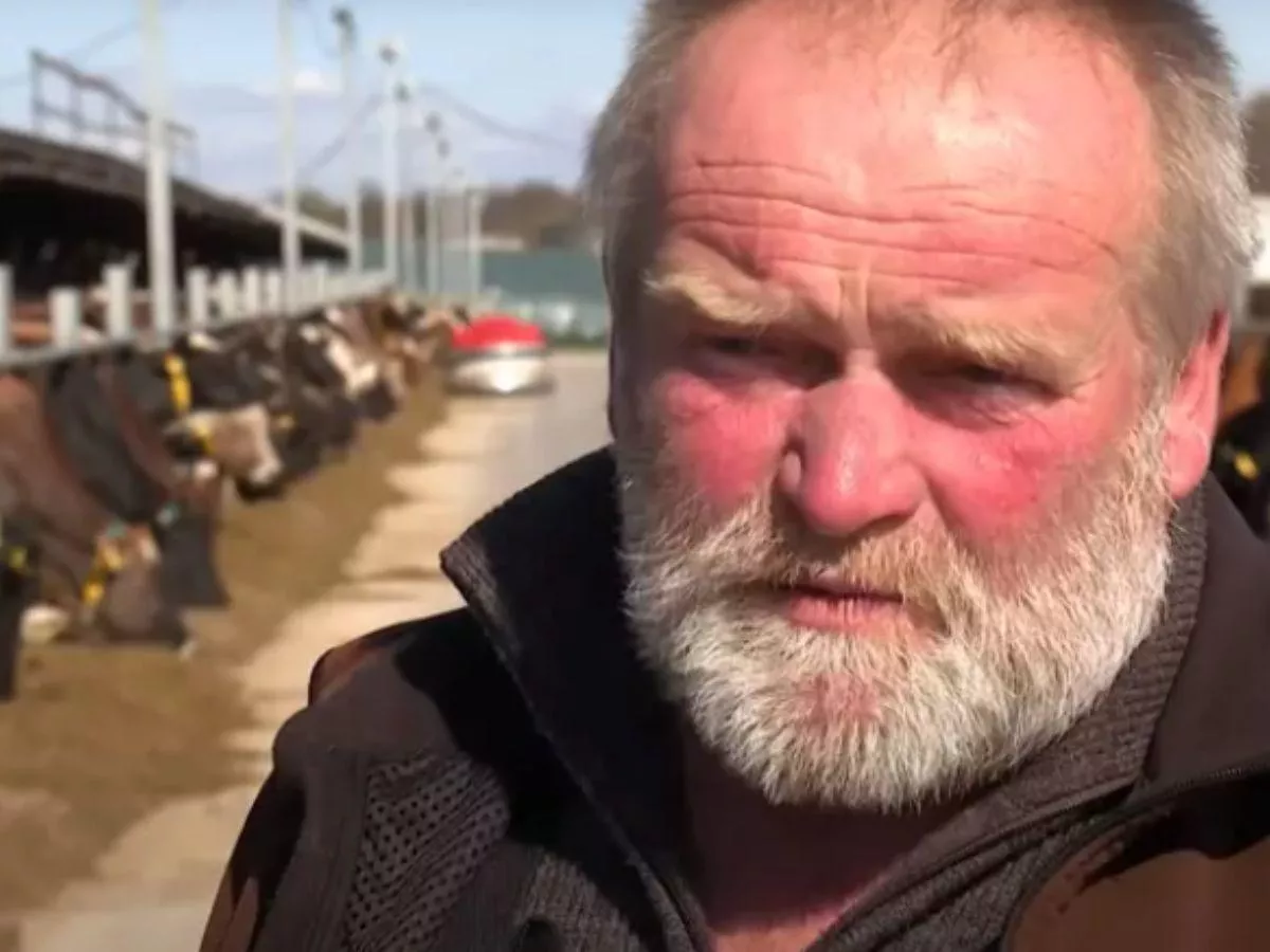 Rolnik zaczynał od kilku krów, dziś ma 900 szt. bydła. I zbiera choćby 7 pokosów traw