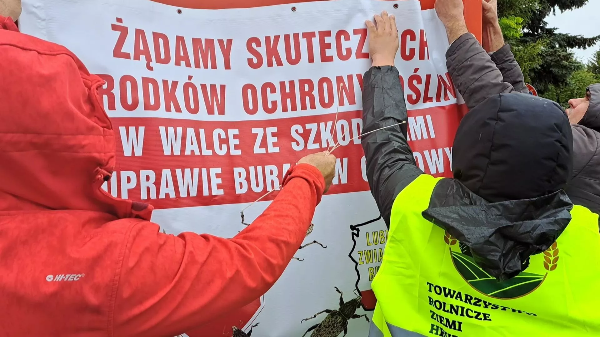 4300 hektarów zjedzone. Będzie pomoc dla rolników?