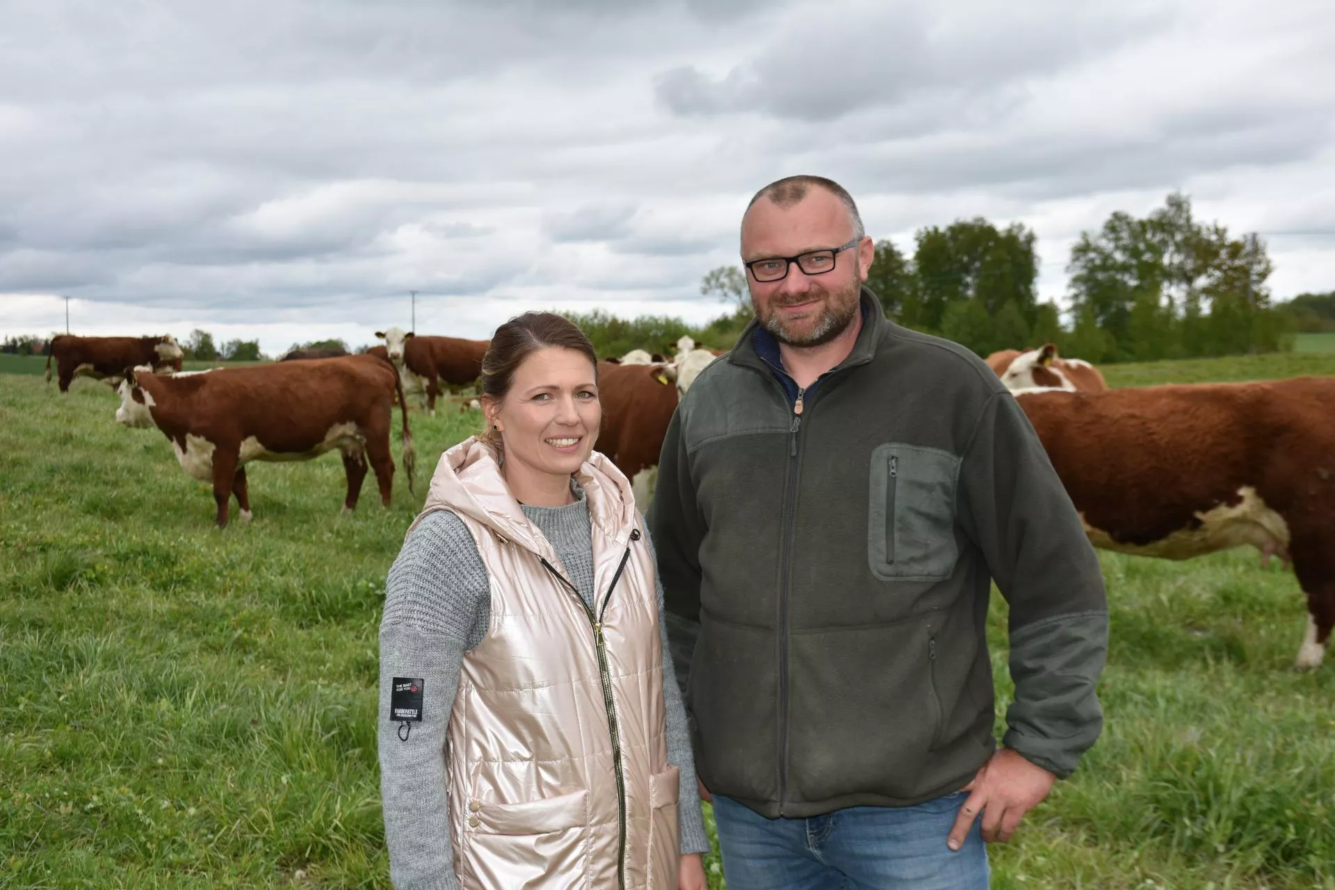 Rolnicy z Lubomina przeszli na herefordy i sprzedają własną wołowinę. Jak to robią?