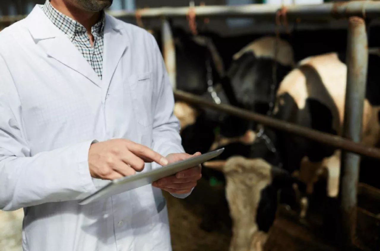 Elektroniczna książka leczenia zwierząt. Od kiedy obowiązkowa dla rolników?