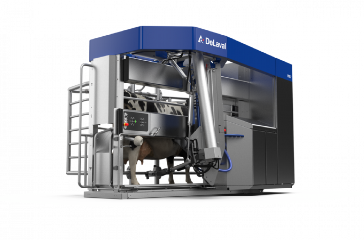 40 sekund szybciej na każdej krowie. Jakie nowe funkcje ma robot udojowy DeLaval?