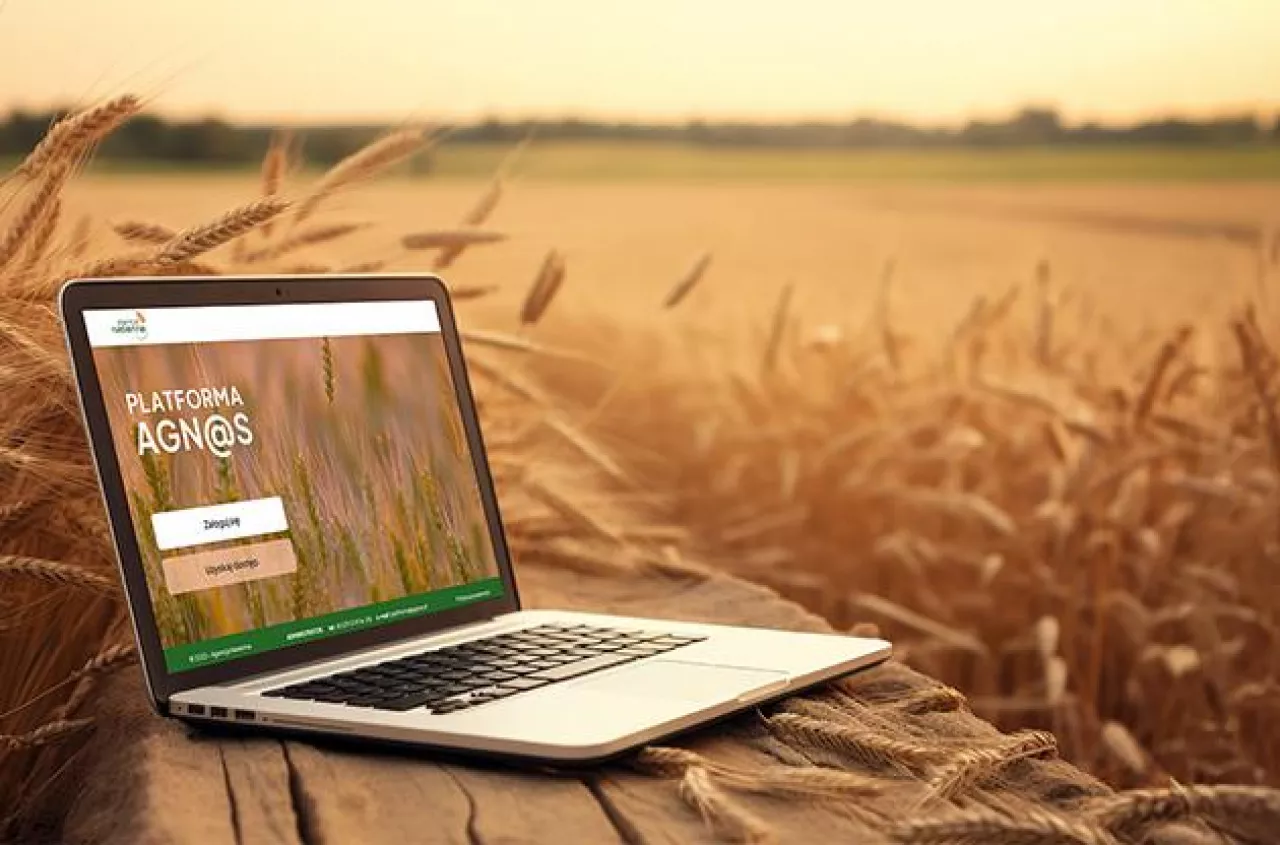 Komfortowe rozliczenia - poznaj platformę Agn@s