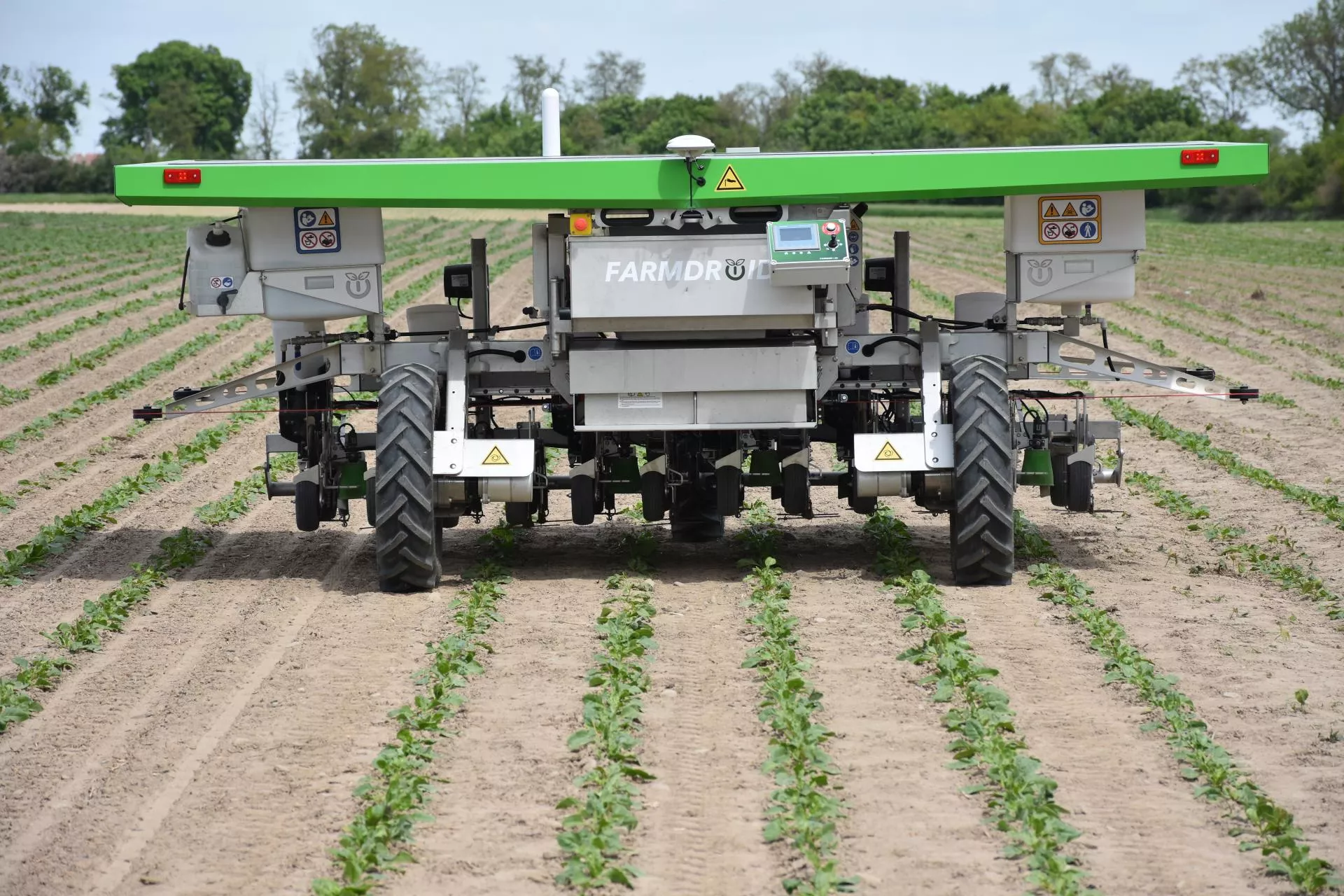 Sprawdzili, czy robot da radę w uprawie buraków. Efekt zaskoczył wszystkich