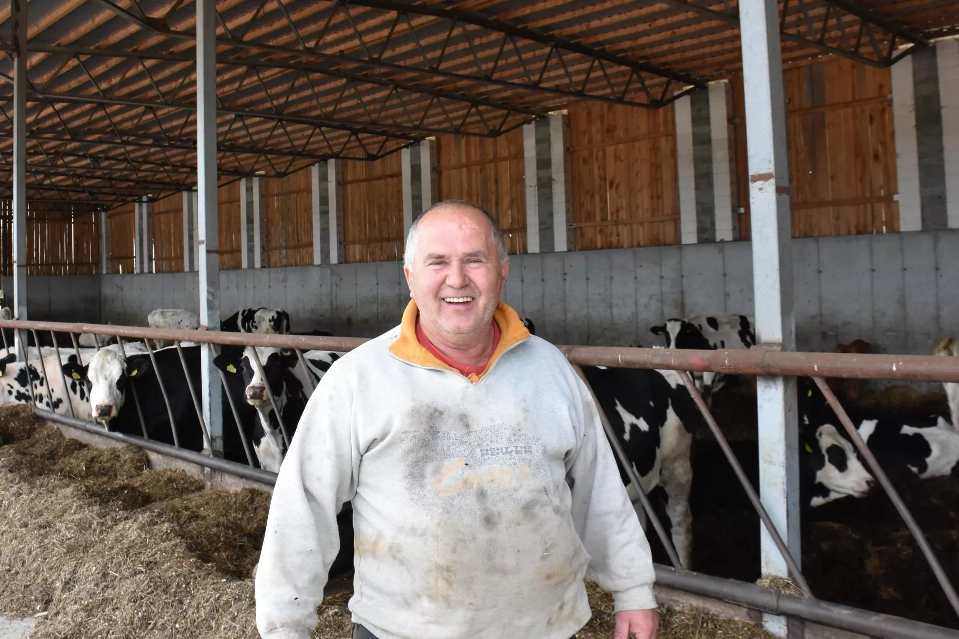 Prawie 12000 kg mleka od jednej krowy. Rolnik spod Ostródy zdradza przepis na sukces