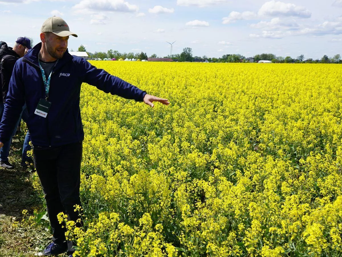Rolnik spod Opinogóry przeprowadził eksperyment w rzepaku. Wyniki porażające