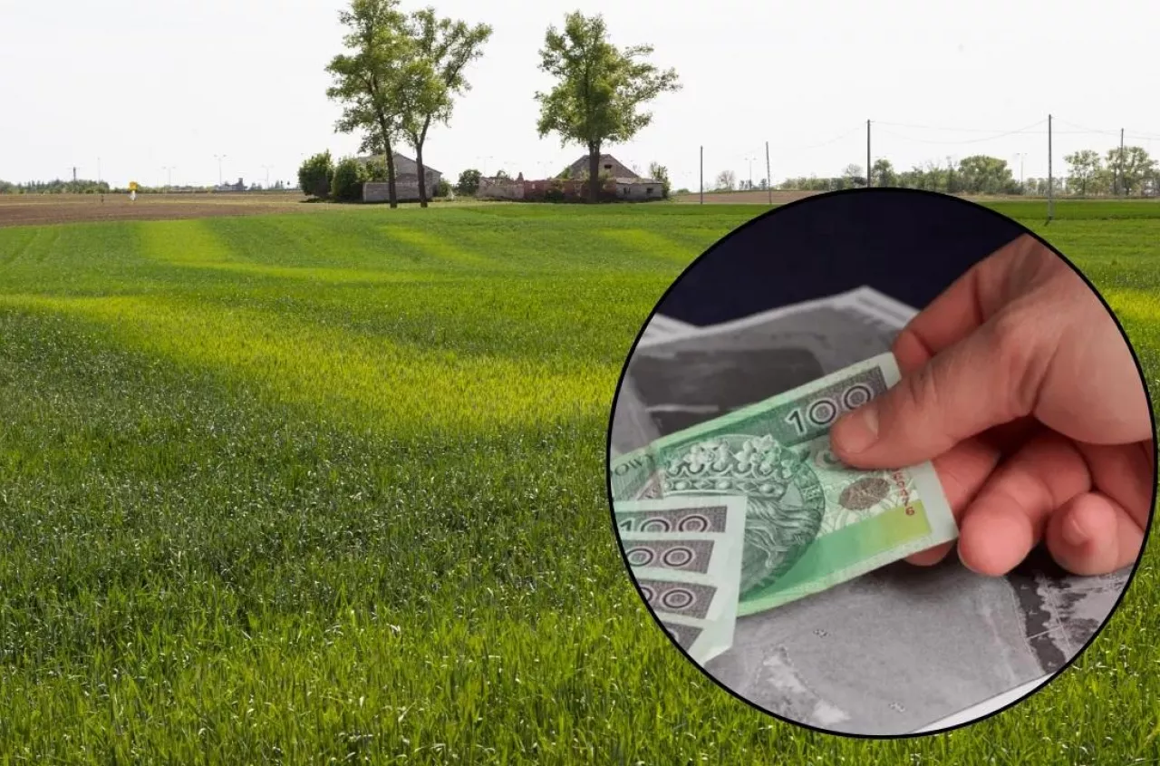 Małe gospodarstwa oddadzą ziemię za dopłaty? Jest pomysł na uwolnienie gruntów