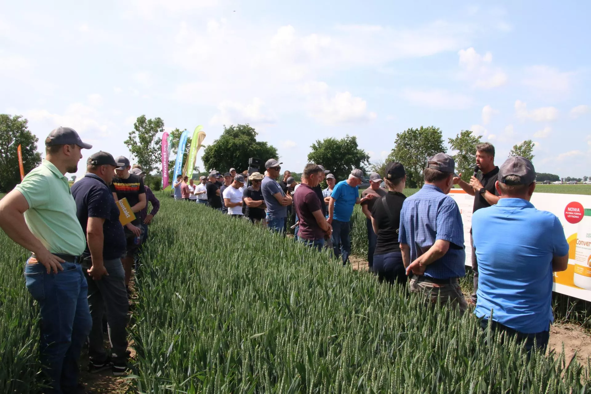 Jaki jest stan zbóż i rzepaku? Przyjedź i porozmawiaj z ekspertami