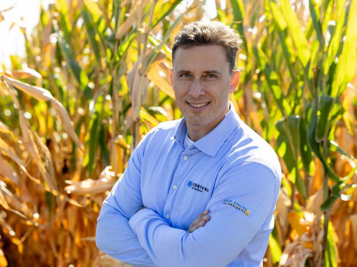 Nowa technologia pomoże roślinom przetrwać suszę i choroby